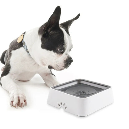 Plastic Dog Drinking Water Bowl with Floating Design Non-Wetting Mouth Cat Water Dispenser Anti-Overflow Pet Feeder 1L Capacity